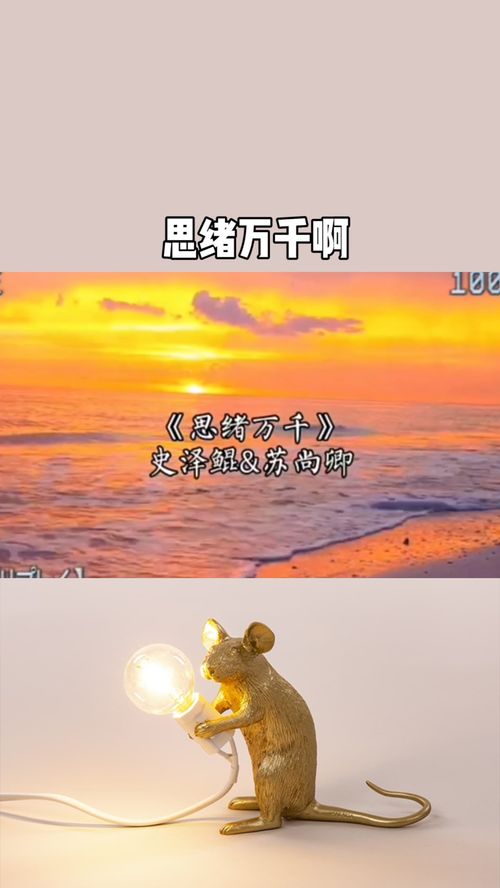 我想要的生活作文800字高中