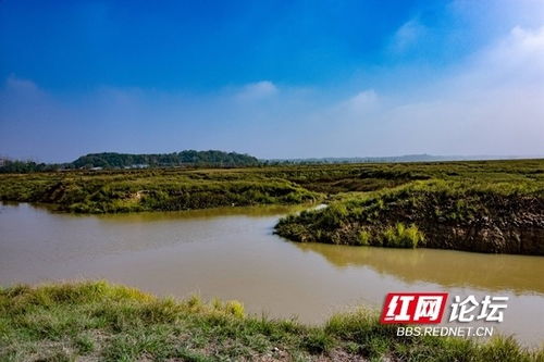洞庭鱼米乡歌词
