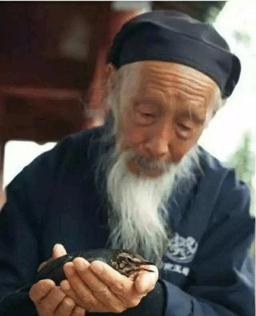 须发的造句