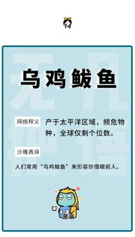 品是什么意思