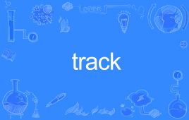 tracking，track在车上代表什么