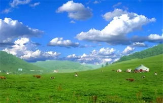 关山草原自驾游玩攻略，关山草原景区门票多少钱
