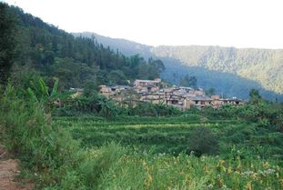 山家古诗翻译，山家林煤矿