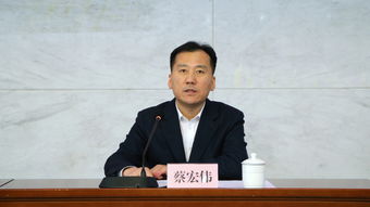 蔡宏伟的详细信息