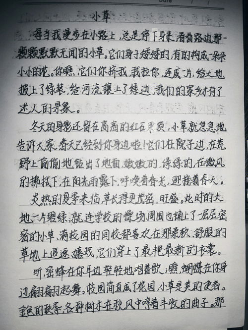 我的收藏作文350字，我的收藏作文700字