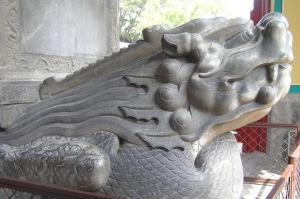 貔是什么动物