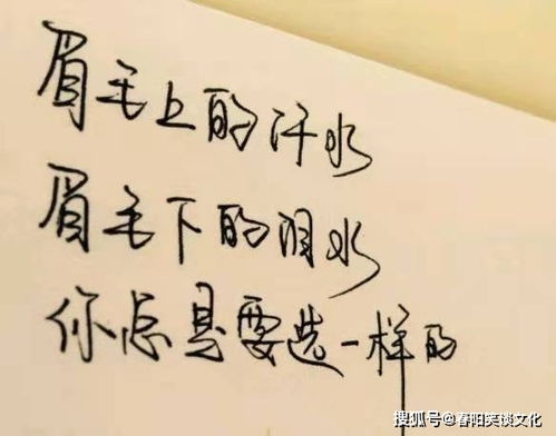 写心情淡然释怀的文案说说 (60句)