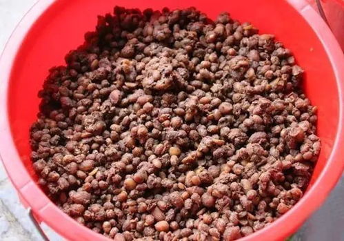 豆糁酱的做法，豆糁的做法大全视频