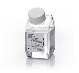 红酒 白酒 葡萄酒 鸡尾酒 用英语怎么说