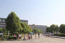 安徽国际商务职业学院在合肥哪个区