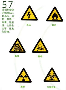 易燃液体的安全标志是什么?