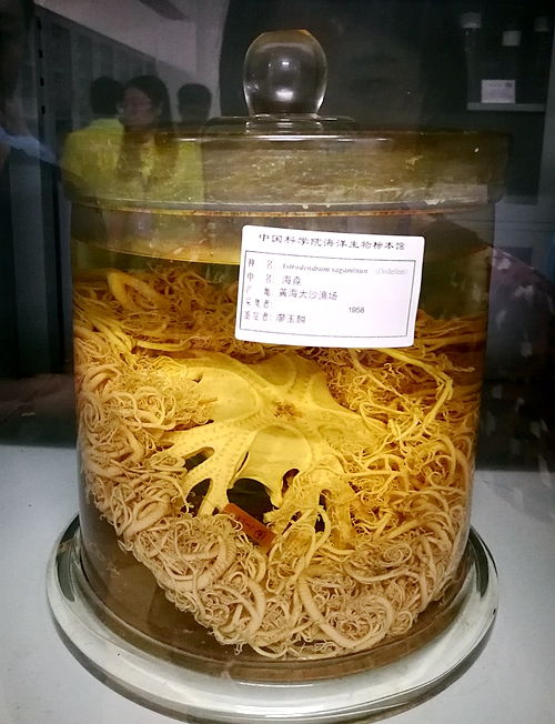 提梁紫砂壶顶海盘底什么意思
