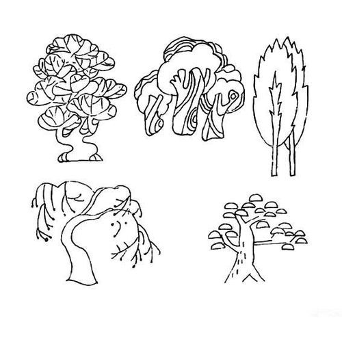 简笔画大全花草树木鸟和动物，简笔画大全花草树木彩色