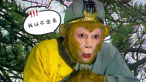 火眼金睛打一准确生肖，火眼金睛的近义词