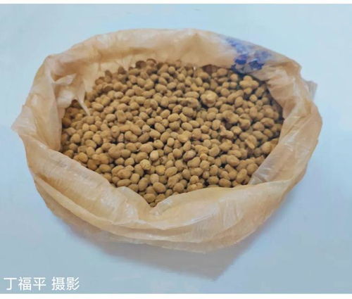 河南豆糁的制作过程