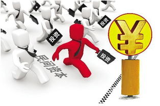 民间投资36条，民间投资和社会投资区别