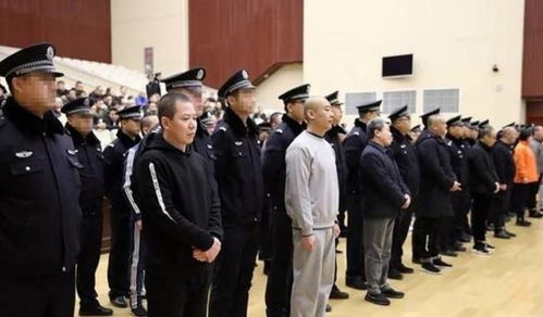 小四毛还活着吗
