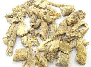 白鲜皮的种植技术