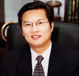 王东升的个人简介