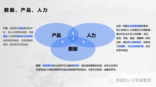 企业里的HR是什么意思?