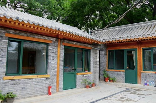 骆驼祥子中大杂院的生活描述是怎么样的。