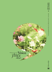 声息前面两个字是什么，声息电视剧