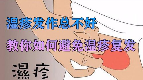 反反复复的意思打一动物，反反复复睡不着什么意思