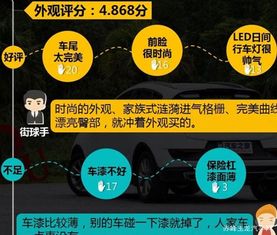 大醇小疵的意思是什么