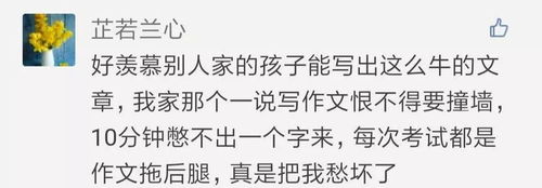 我的家作文400字