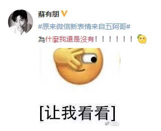 娣是什么意思，我冇眼睇是什么意思