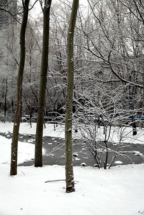 三月雪预示什么