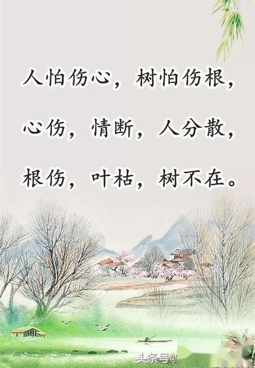 词语凄凉什么意思