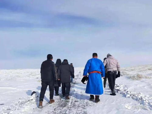 登高壮观天地间全诗含义，登高壮观天地间 大江茫茫去不还全诗再现