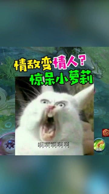怎么才能让别人还我钱啊,官司我都赢了