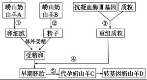 基因工程育种名词解释，基因工程育种需要遗传标记吗