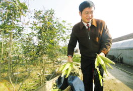 稻粱谋的诗句，稻粱谋儒林外史十分钟带你读懂动漫视频