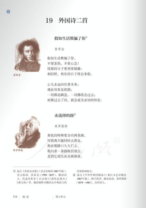 外国诗二首教学反思，外国诗二首教案