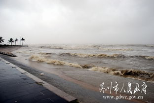 大风大浪是大海,有笑有哭是人生是什么歌，大风大浪图片