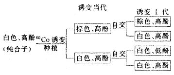 基因工程育种的优点