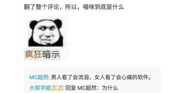 贼的意思