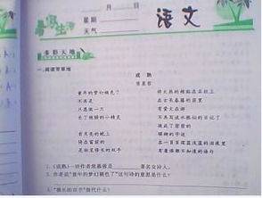 《选择》阅读答案