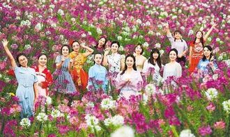 争奇斗艳什么意思