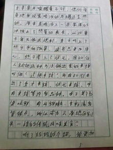 谈谈美食作文400字，我爱家乡的美食作文400字