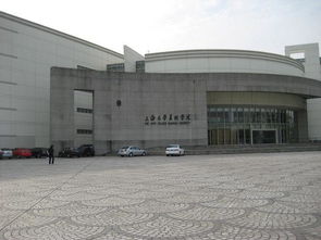 上海美术学院录取分数线2023，上海美术学院怎么样