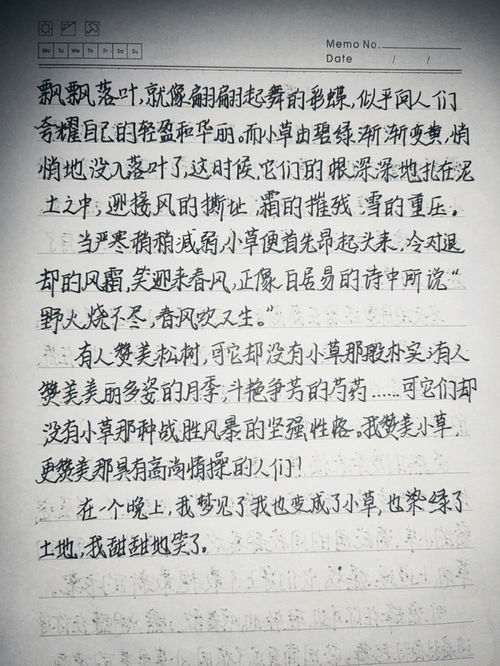 我的收藏作文