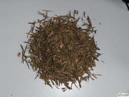 紫梢花的功效作用及用法用量，紫梢花的功效与作用及禁忌