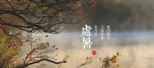 七月的诗句有哪些，包含七月的诗句