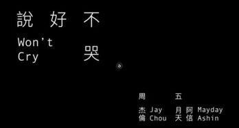 王心凌 《不哭》的歌词