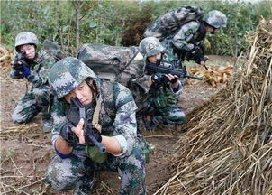 步兵是什么意思 详解步兵的定义和作用?