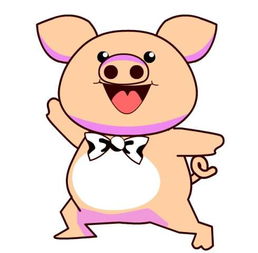 属猪是几岁